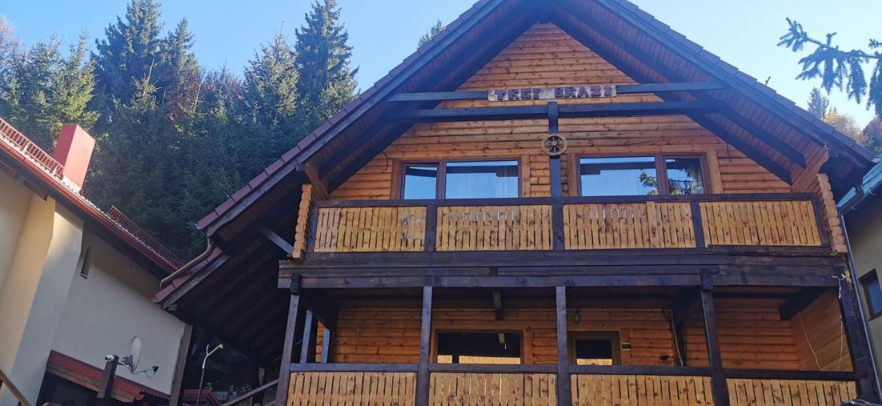 Cabana "Trei Brazi " Retezat Rîu de Mori Eksteriør bilde
